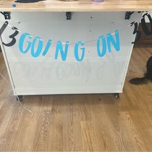 13 going on 30 Birthday Banner